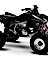 2004-2005 Honda TRX450R Factory Sevice Manual